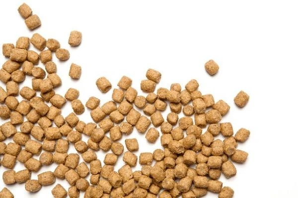 Beauty Premium Cat Food factory