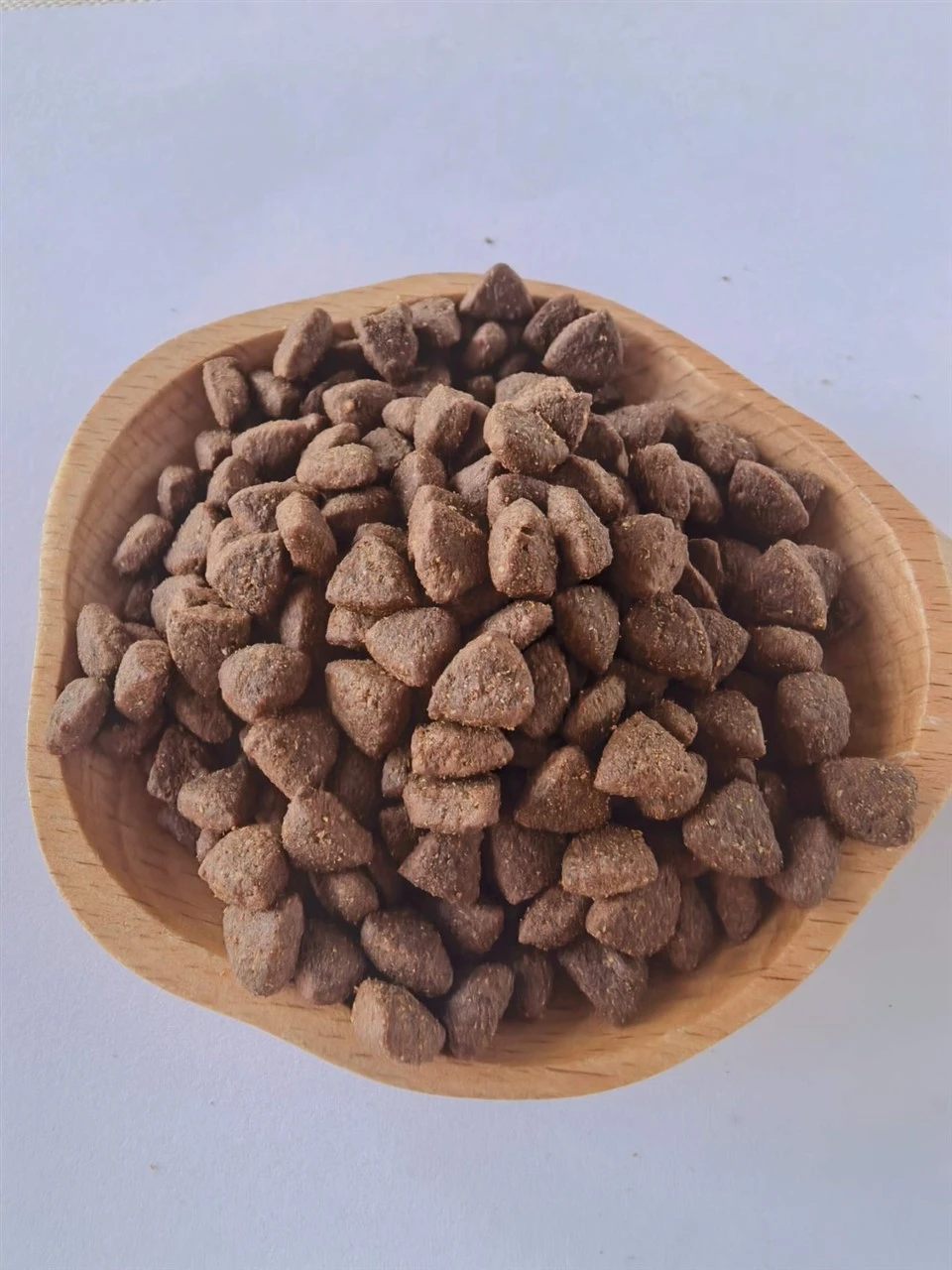 Cat Food For Pet suppliers