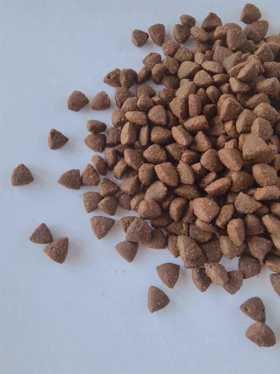 Cat Food For Pet factory