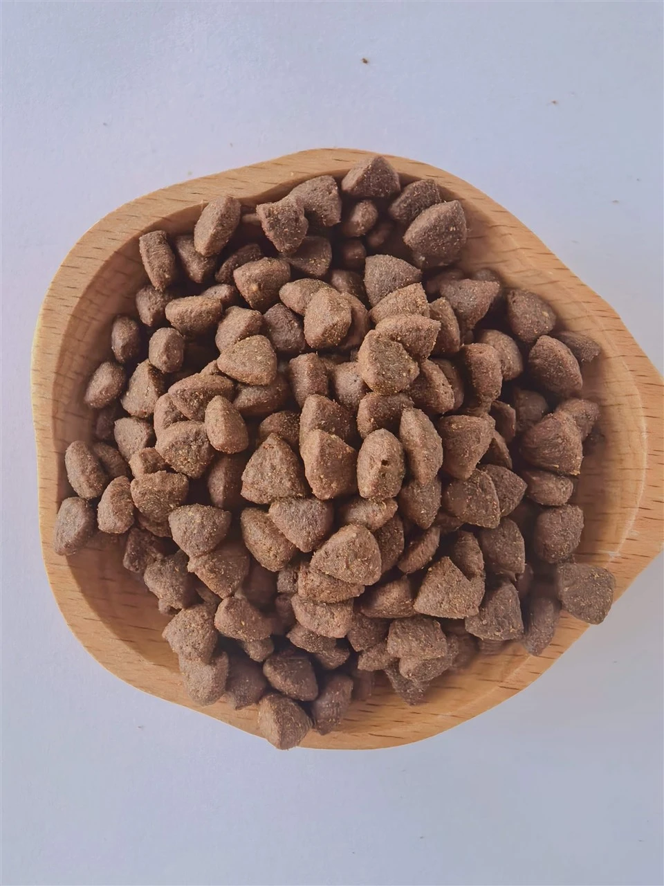 Cat Food For Pet