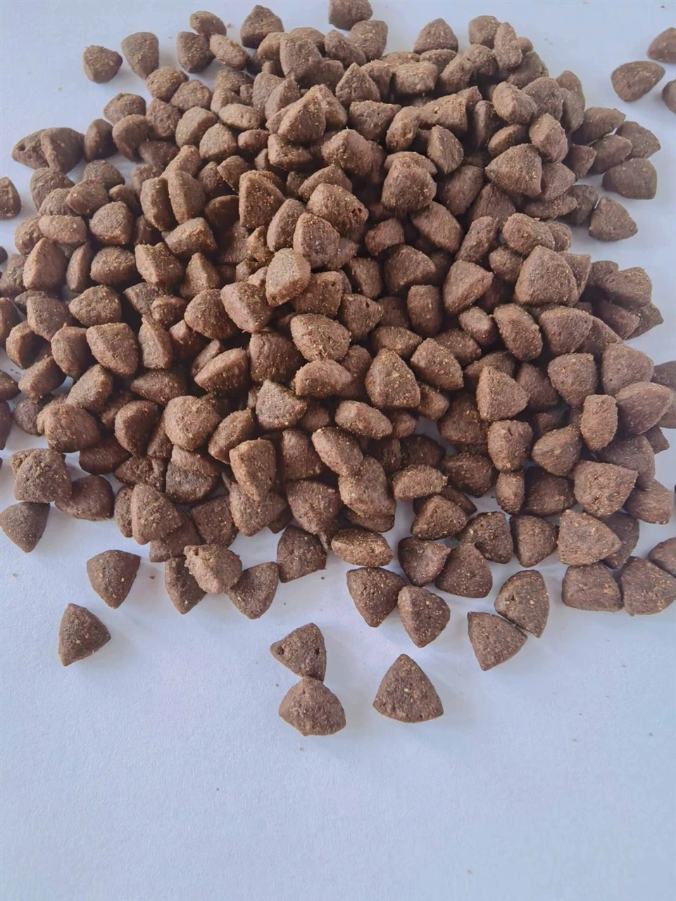 Cat Food For Pet best