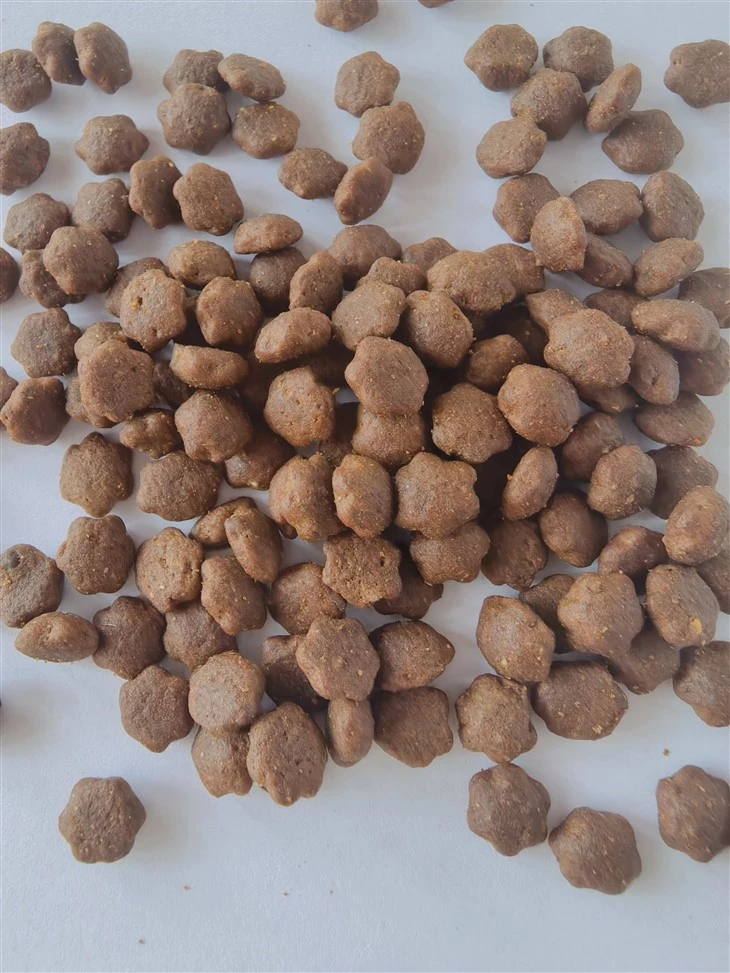 Dog Food Pet Products