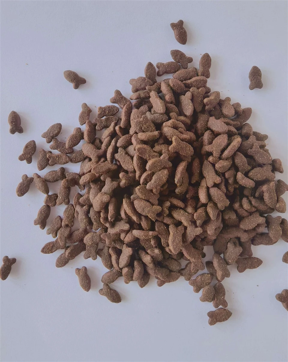 Dog Food