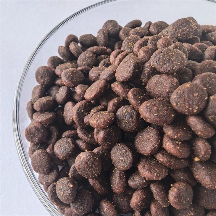 Natural Balance Cat Food factory