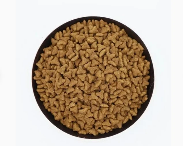 Pregnant Cat Food factory