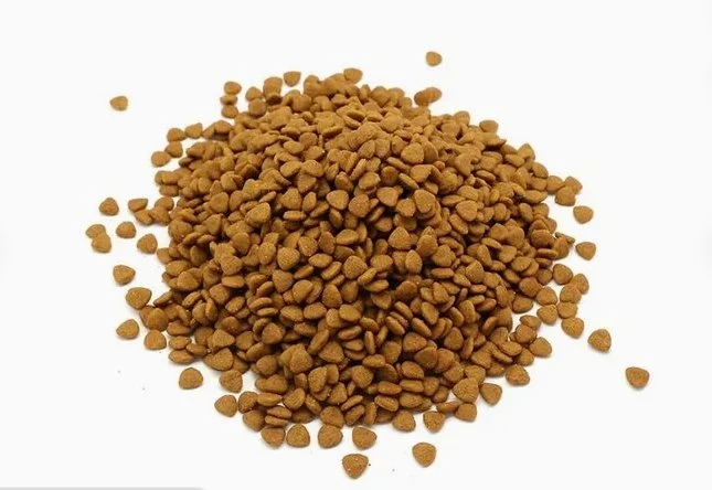 Pregnant Cat Food