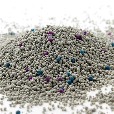 Bentonite Cat Litter for Multiple Cats