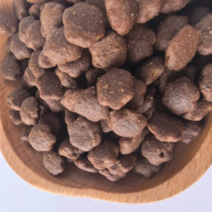 Special Formulation Cat Food best